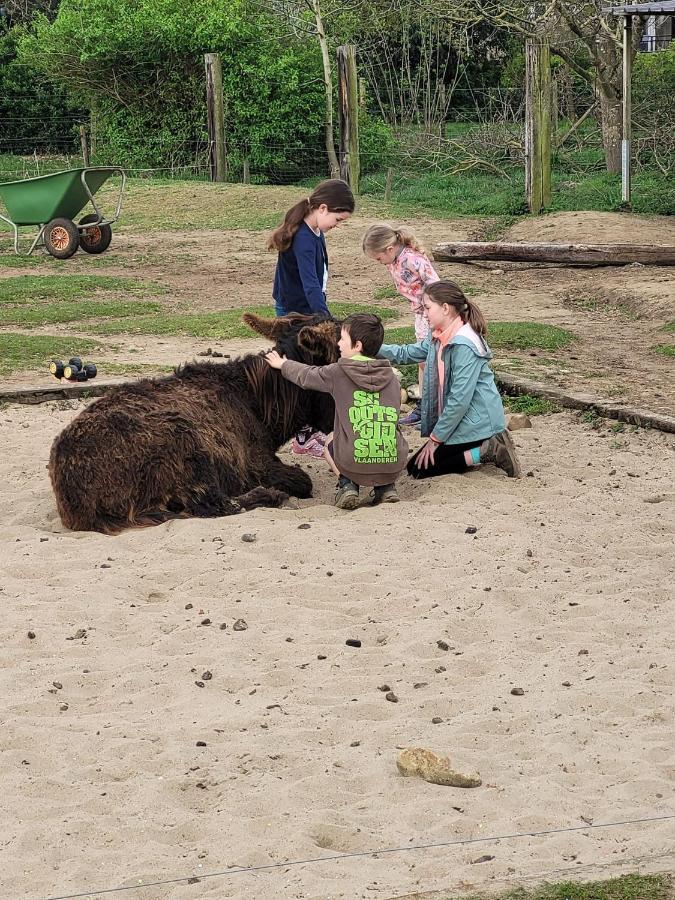Готель Slapen Tussen De Ezels In De Yurt Арсгот Екстер'єр фото